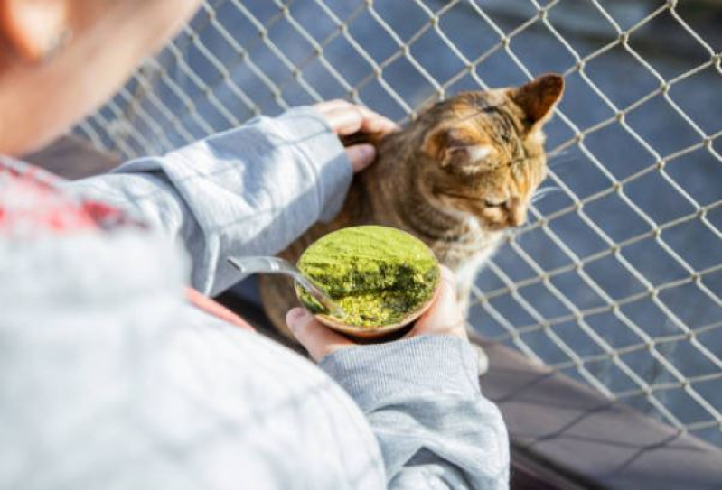Onde Comprar Rede de Proteção para Gatos Monte Verde - Rede de Proteção para Gatos