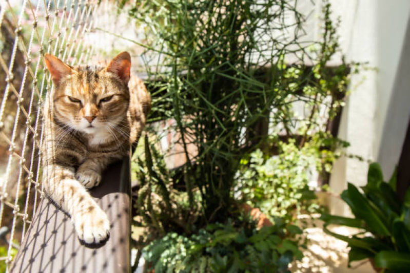 Onde Comprar Rede de Proteção para Pássaros Rio Vermelho Estação - Rede Protetora para Gatos