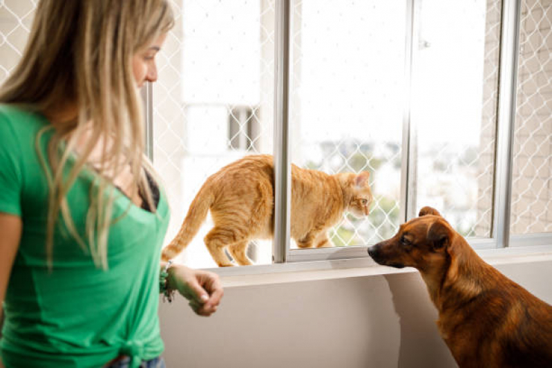 Onde Comprar Rede de Proteção Removível para Gatos Ator S Bento - Rede Protetora para Gatos