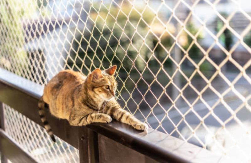 Preço de Rede de Proteção para Pássaros Saco dos Limões - Rede Protetora para Gatos