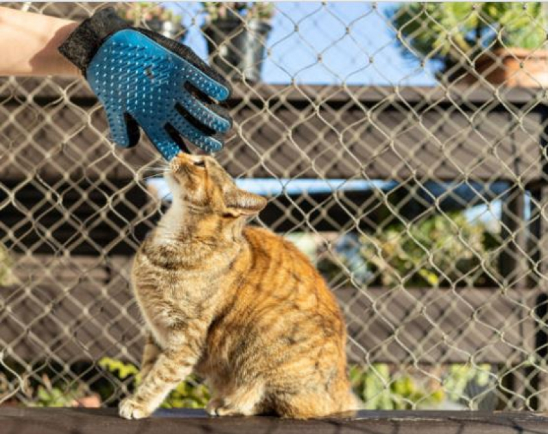 Rede de Proteção para Animais Valores Bombinhas - Rede para Proteção de Gatos