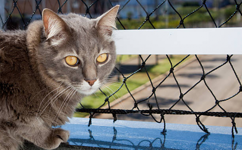 Rede de Proteção para Gatos de Estimação Itaguaçu - Rede de Proteção Removível para Gatos