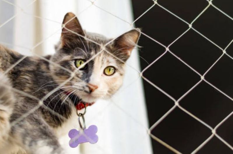 Rede de Proteção para Gatos Ilhota Luciana - Rede de Proteção Transparente para Gatos