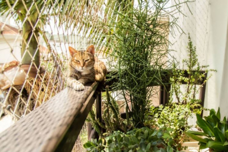 Rede de Proteção para Janelas Gatos Valores Ingleses Rio Vermelho - Rede de Proteção Janela para Gatos