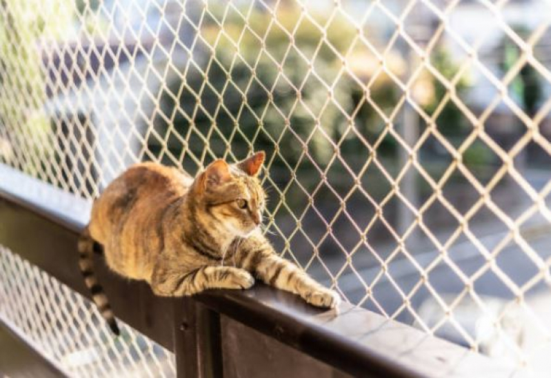 Rede de Proteção para Janelas Gatos Ratones - Rede de Janela para Gatos