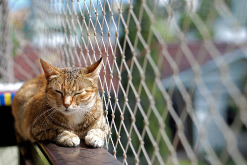 Rede de Proteção para Seguança de Gatos Preço Abraão - Rede de Proteção Removível para Gatos