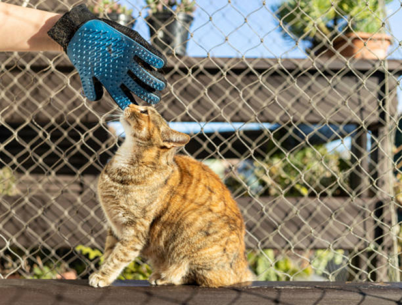 Rede Protetora para Gatos Itajaí - Rede de Proteção para Animais de Estimação