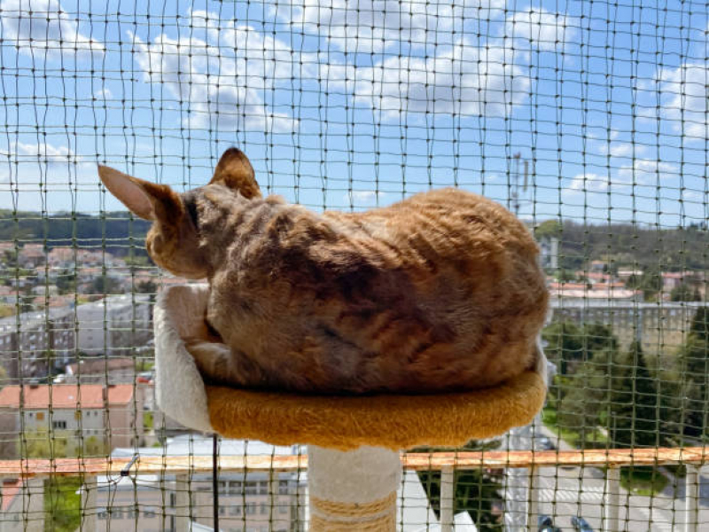 Redes de Proteção para Gatos Janela Preço Pântano Sul - Rede Protetora para Gatos