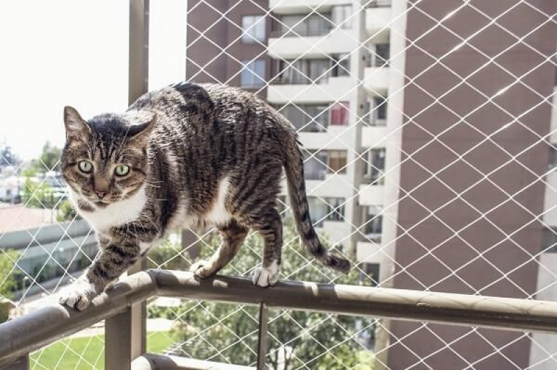 Tela de Proteção para Gatos sob Medida Geral do Sertão - Tela de Proteção para Gatos Removível