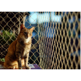 onde comprar rede de janela para gatos Balneário Camboriú