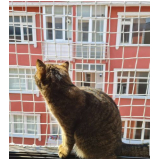 onde comprar rede de proteção para janelas gatos Jardim Iate Clube
