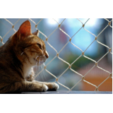 onde comprar rede de proteção para seguança de gatos São Francisco de Assis