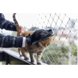 onde comprar redes de proteção transparente para gatos Rio Vermelho Estação