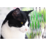 preço de rede de proteção removível para gatos Rio Tavares