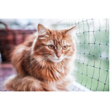 rede de proteção para gatos de estimação preço Vargem Pequena