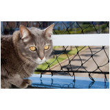 rede de proteção para gatos de estimação Itajaí