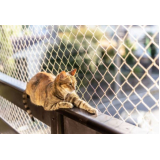 rede de proteção para janelas gatos Córrego Grande