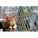 rede de proteção para seguança de gatos preço Sambaqui