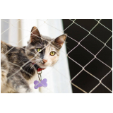 rede de proteção para seguança de gatos Carianos