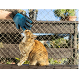 rede protetora para gatos Itajaí