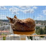 redes de proteção para gatos janela preço Jardim Atlântico