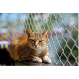 tela de proteção para gatos com velcro Jardim Beija Flor
